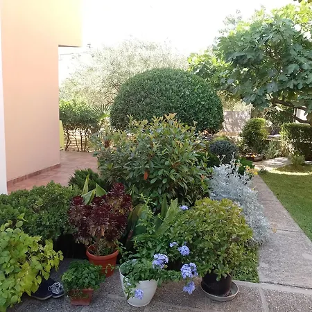 Marijana Aparthotel 3*
