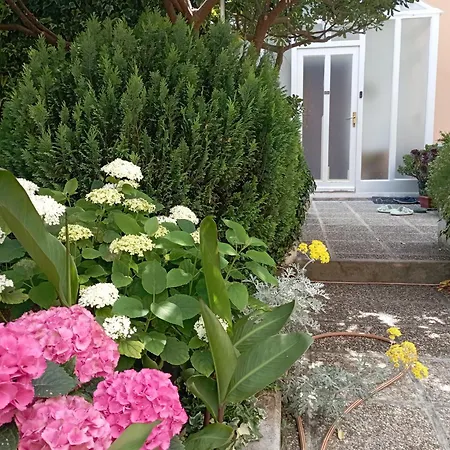 Marijana Aparthotel 3*